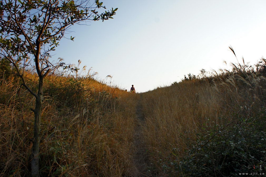 DSC02115_缩小大小.jpg