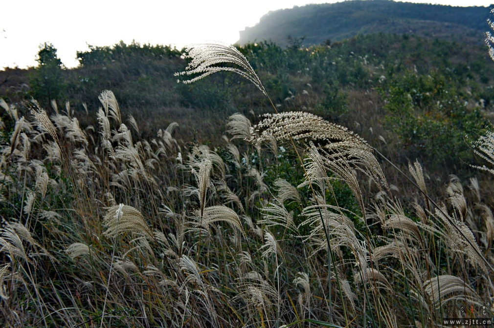 DSC02126_缩小大小.jpg