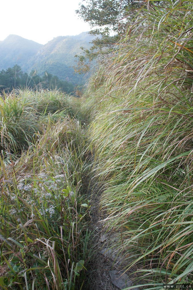 DSC02133_缩小大小.jpg