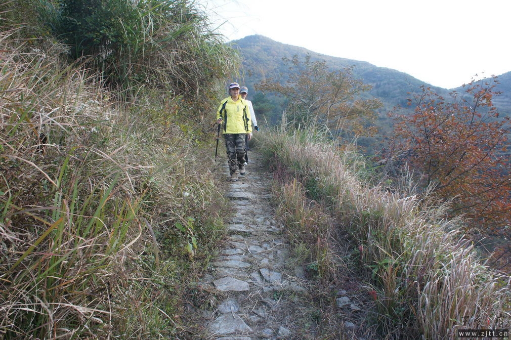DSC02135_缩小大小.jpg