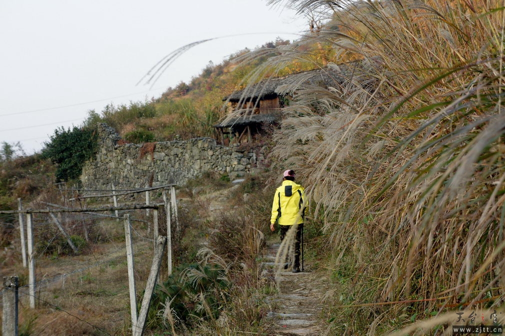 DSC02145_缩小大小.jpg