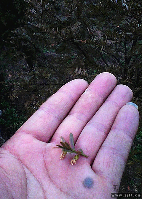 2013-02-12 15.49.50_副本.jpg
