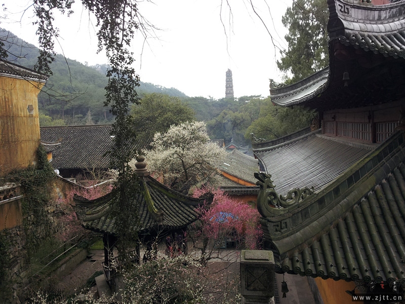 20130220_125415_副本.jpg