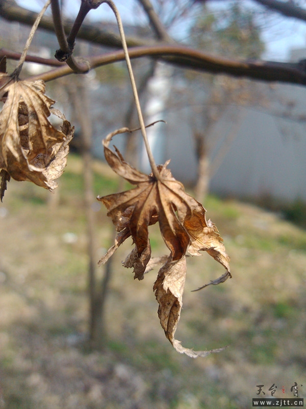 IMG_20130228_140308_副本.jpg
