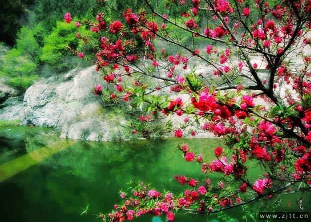 QQ截图20130305203650.jpg