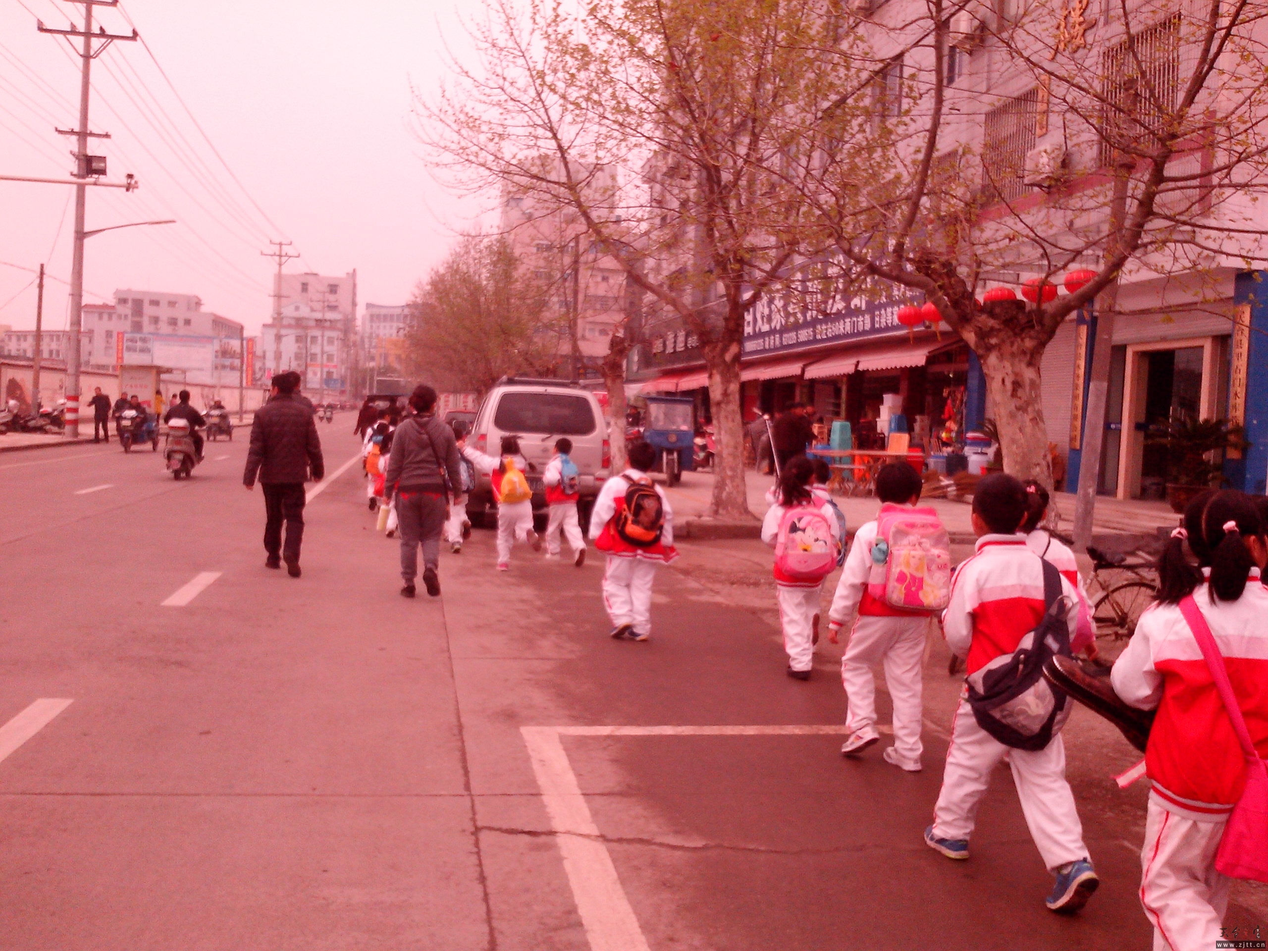 IMG_20130328_082133.jpg