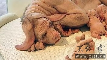 猪人3.jpg
