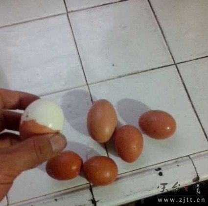 QQ截图20130506235850.jpg