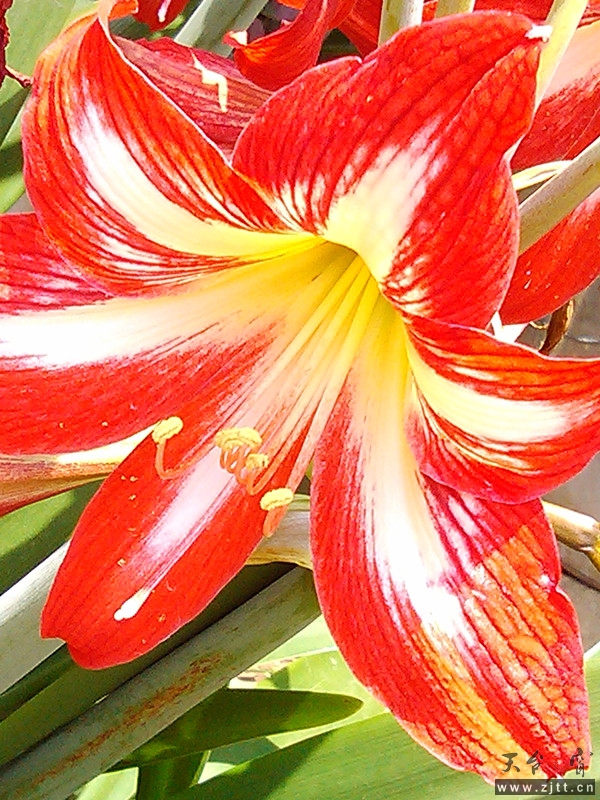 IMG_20130525_123416_副本.jpg