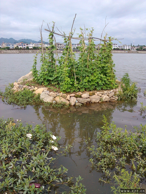 IMG_20130609_075939_副本.jpg