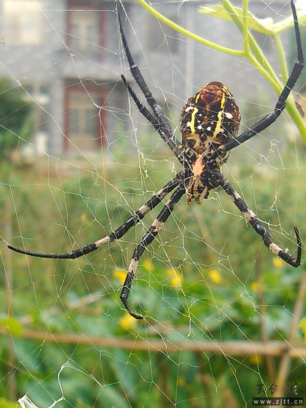 IMG_20130721_143752_副本.jpg