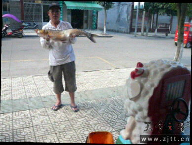 P1090450.JPG