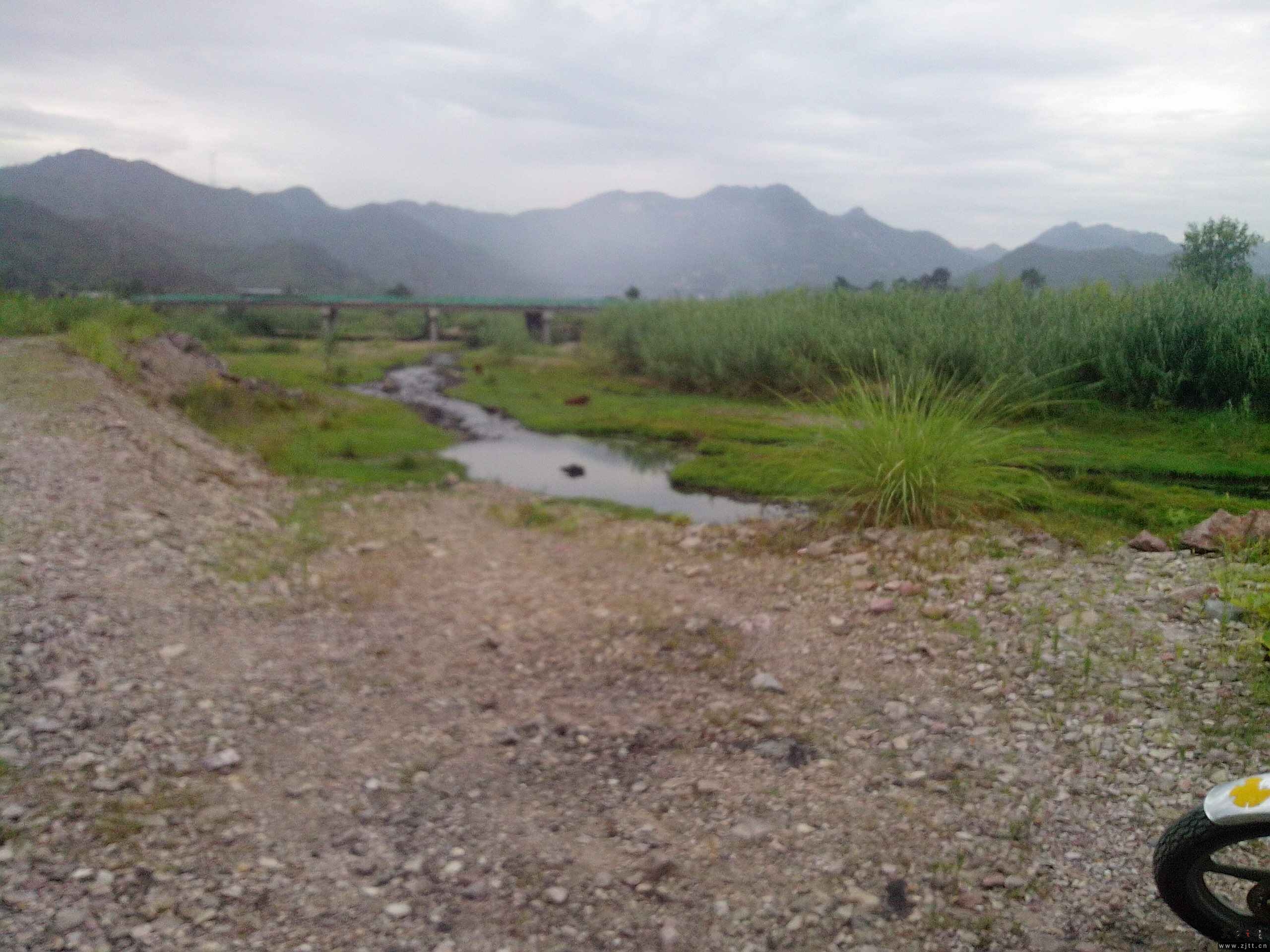 IMG_20130804_074645.jpg