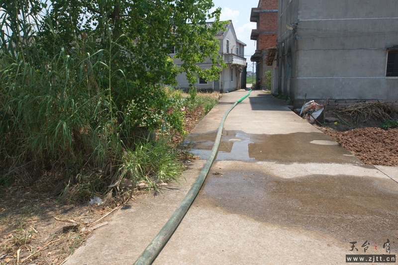 杨娇阳的六台抽水机已在几个田畈开足马力不停抽水.jpg