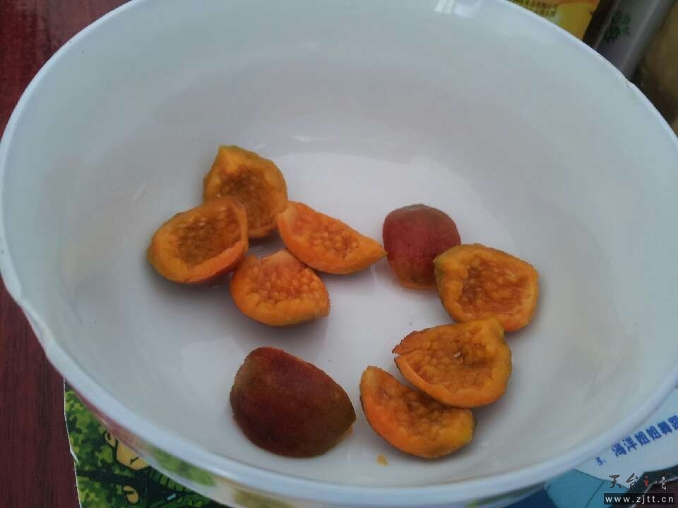 QQ图片20130915150925.jpg