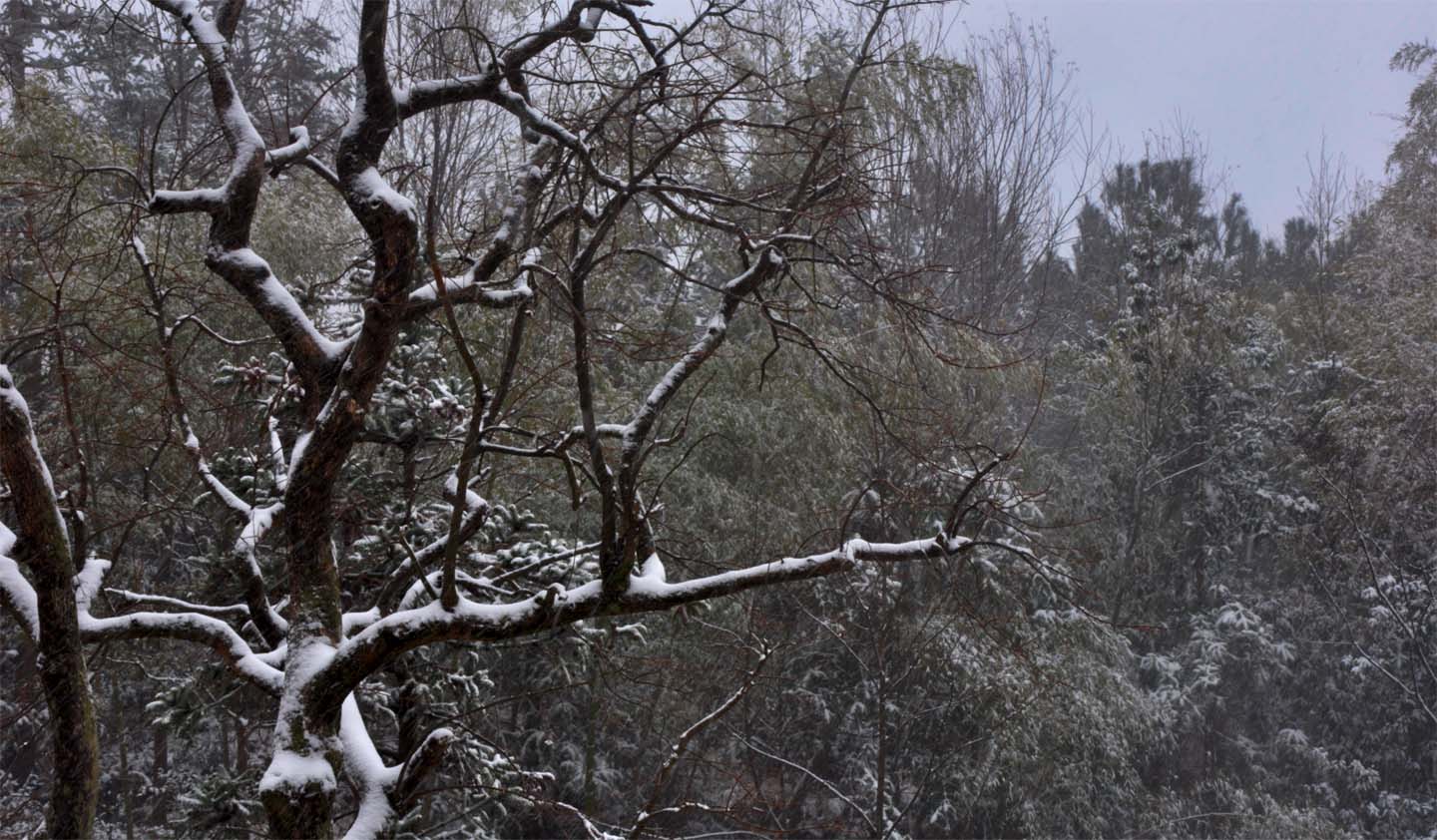 DSC_0281.JPG