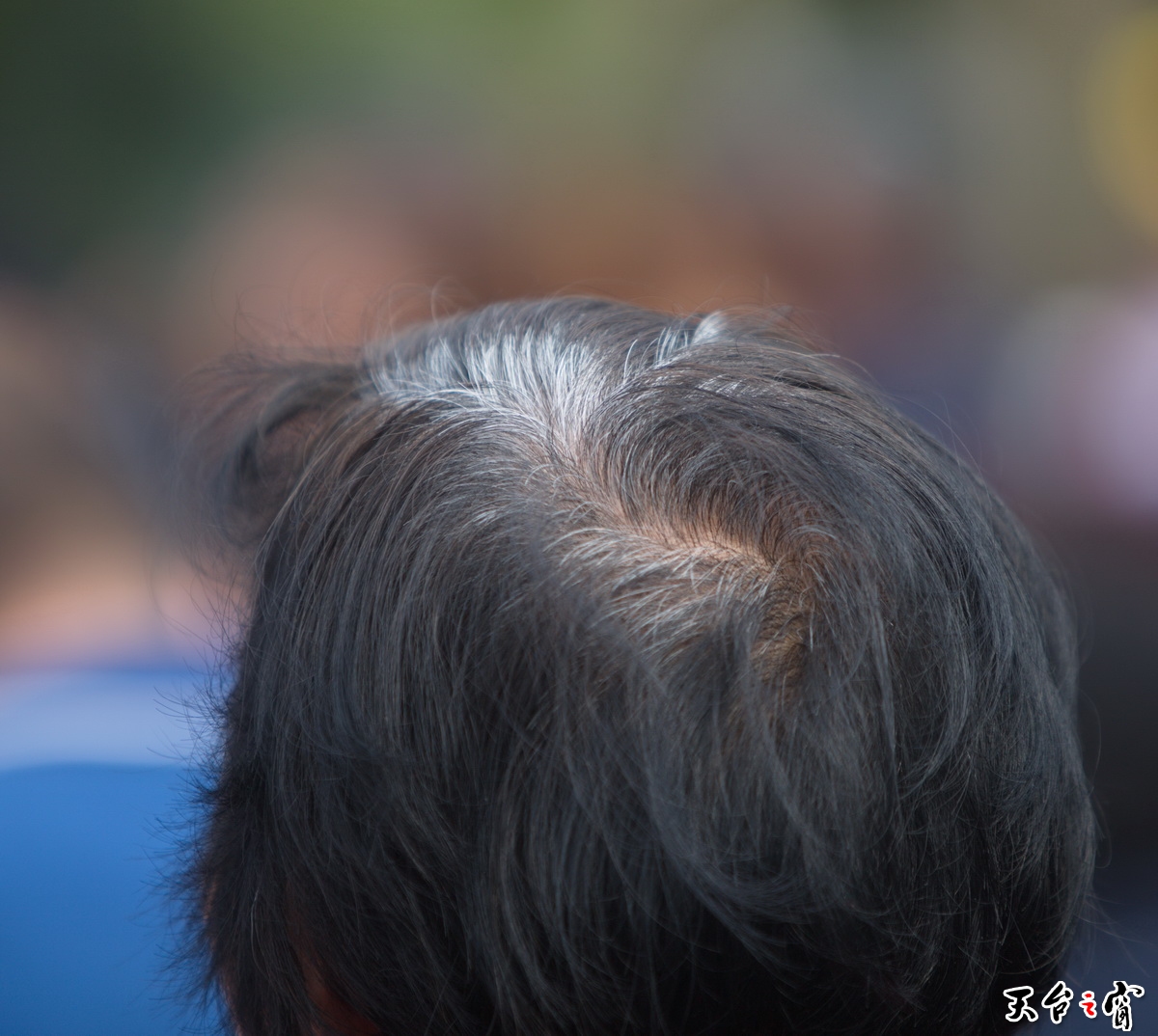 125A1764_调整大小.jpg