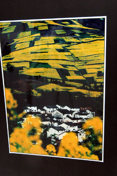 参观丽水国际影展--《影像天台》摄影沙龙2004.10.18