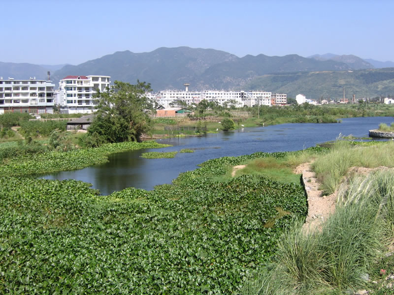 [new] 发几张始丰公园的风景