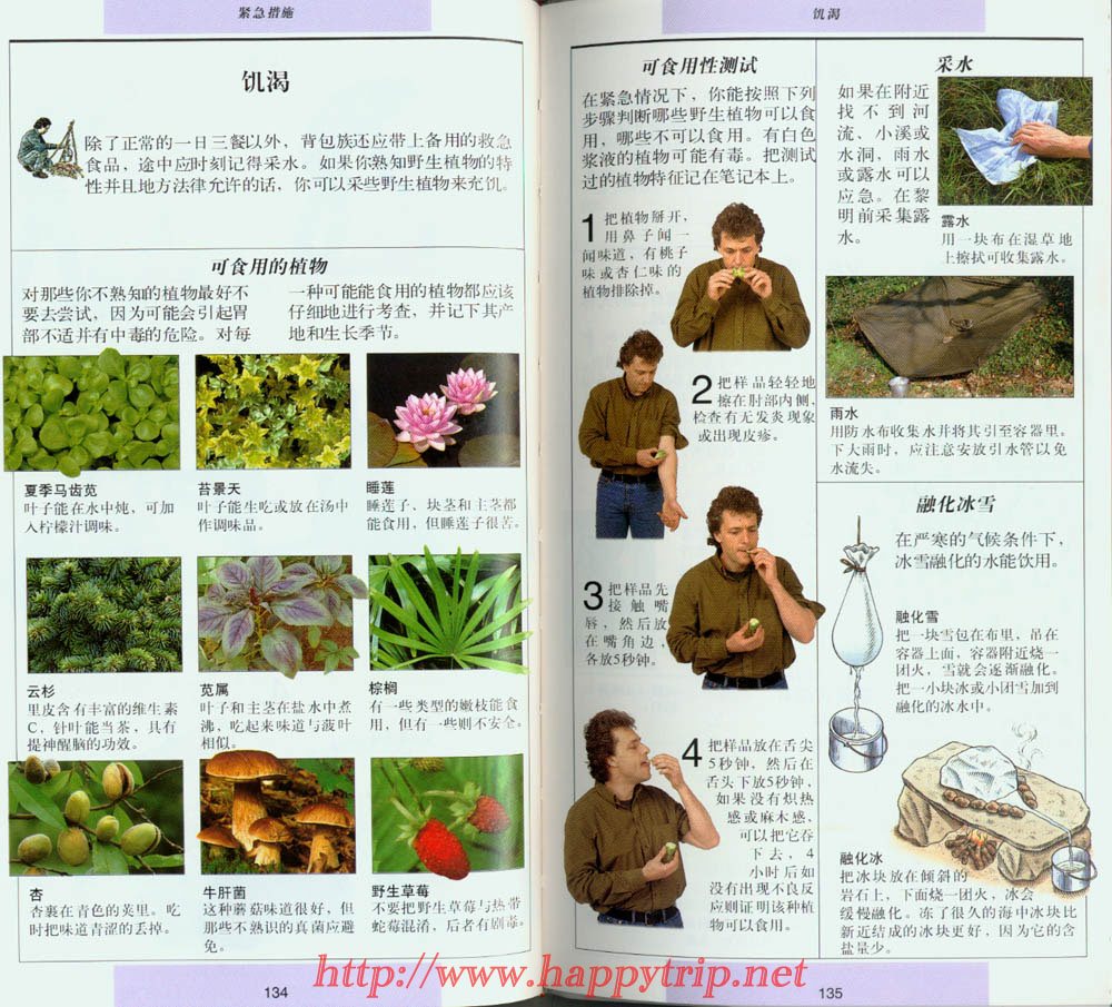 分享