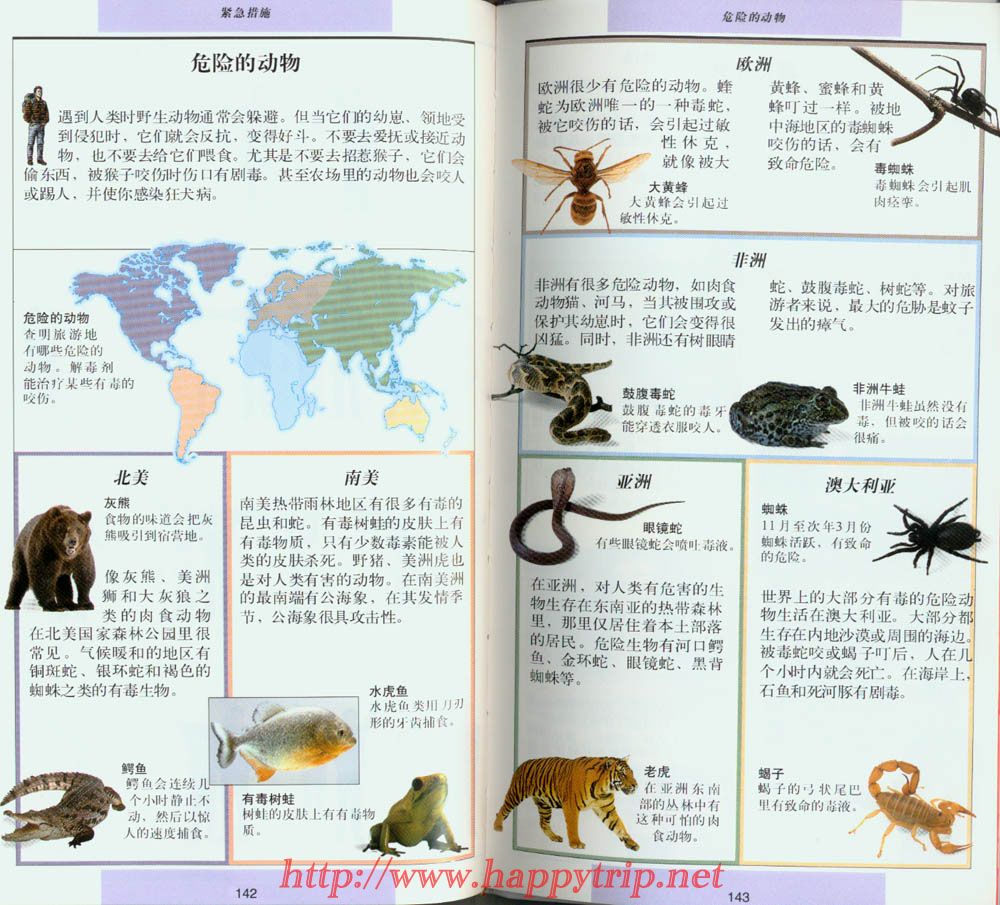 分享