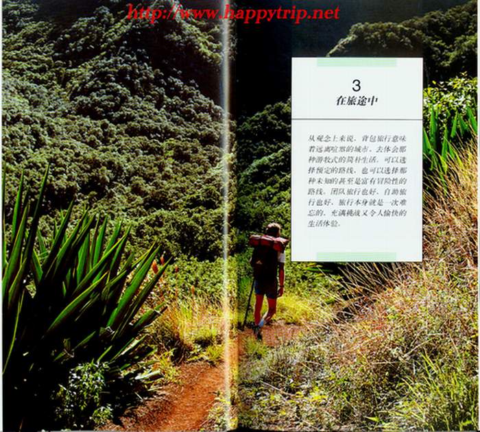分享