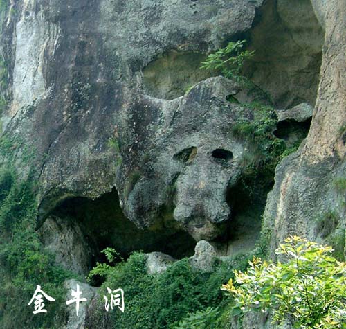 铁甲龙的洞