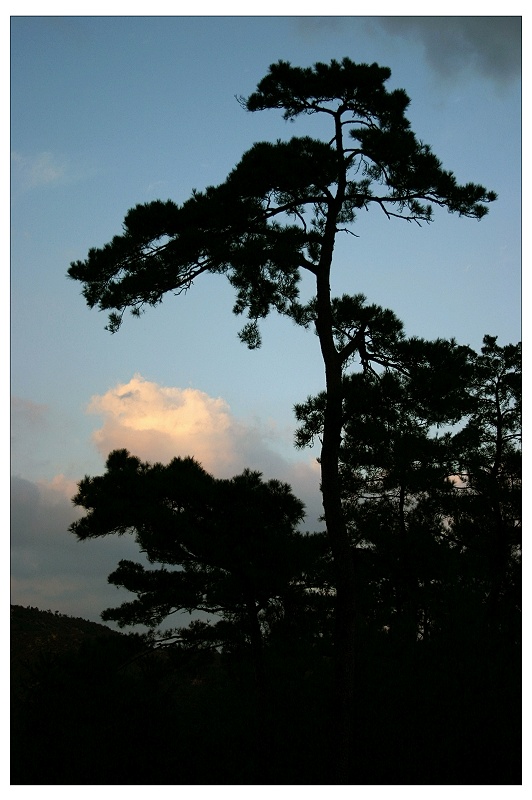 10.30天台游交作业----风景篇