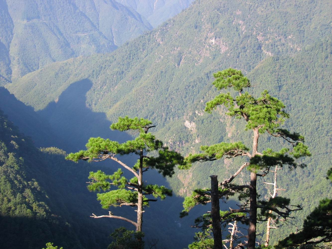 百山祖---黄茅尖登顶穿越之PP