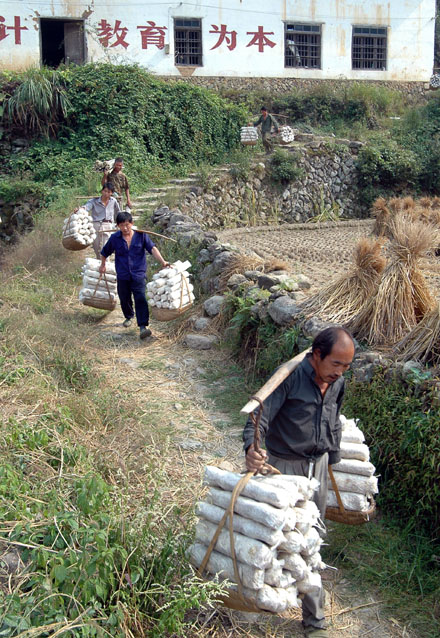 挑夫---------影像天台》2004.11.13