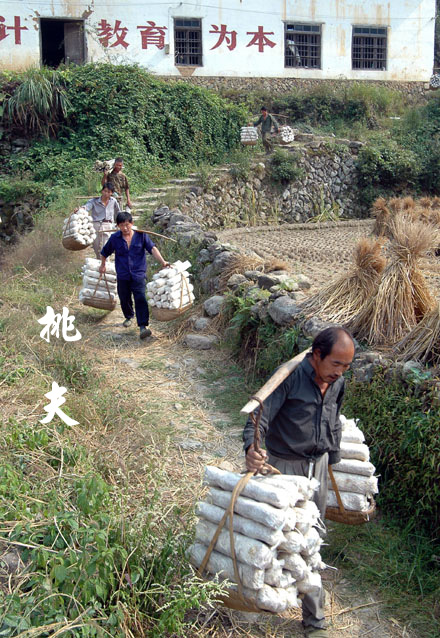 对于王利民的建议