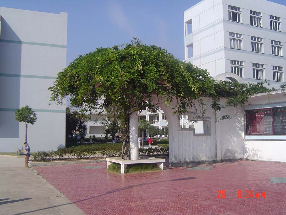 天中校园风采