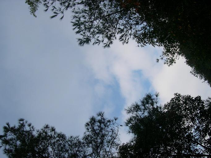 11.13-14黄岩划岩山-上郑圣堂大瀑布之行
