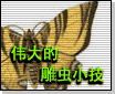 [推荐]数码相机微距摄影之昆虫世界