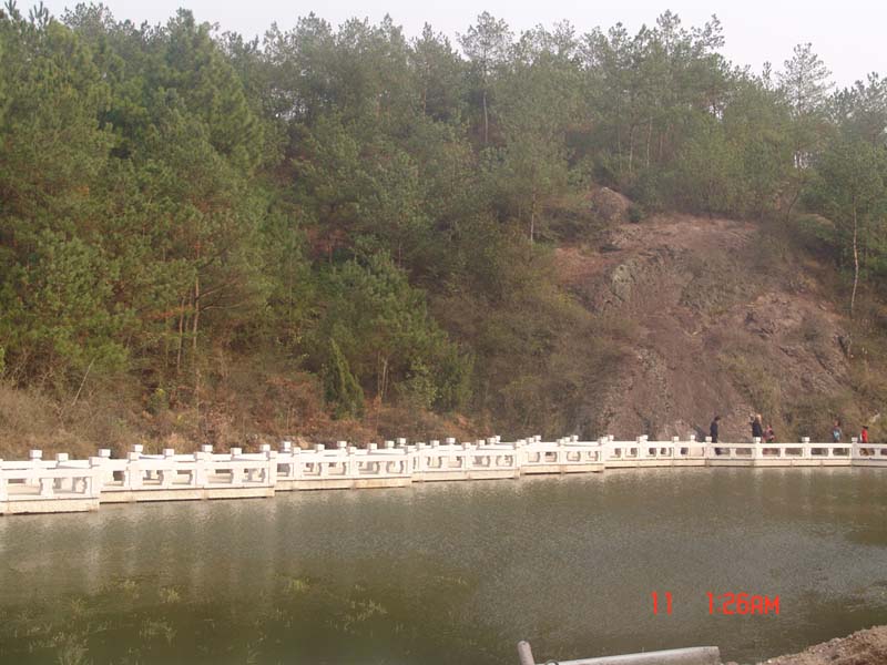 龙山风光