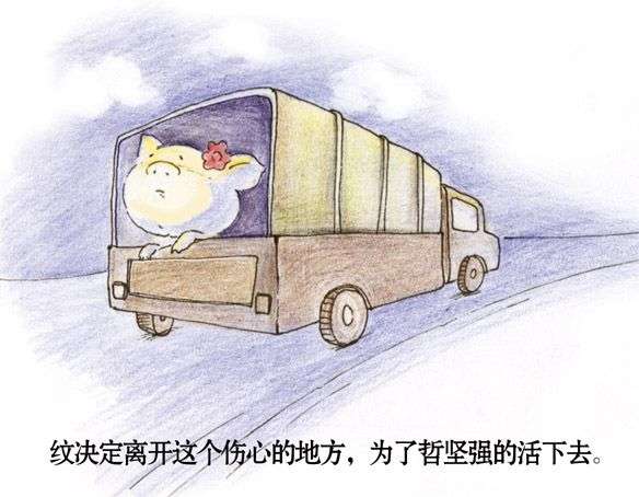 两只猪猪的感人爱情