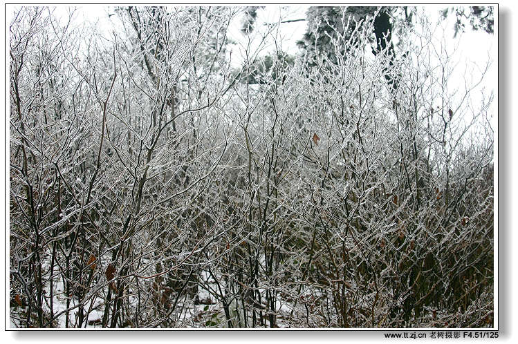 12月25日华顶冰雪世界拍摄收获