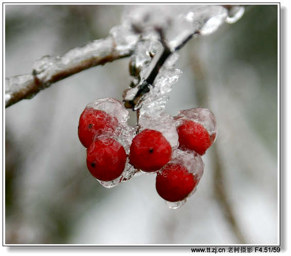 12月25日华顶冰雪世界拍摄收获