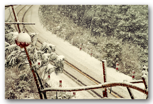 飞雪连天----2004.12.28