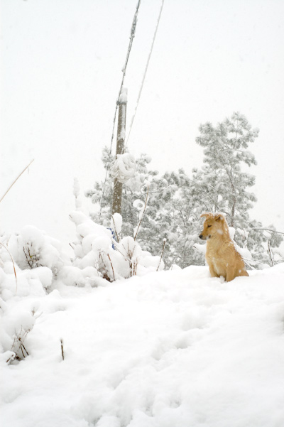 飞雪连天----2004.12.28
