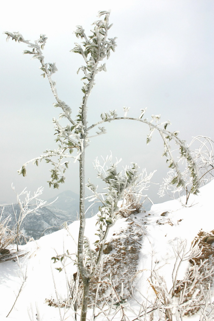 29日天北线之冰雪世界
