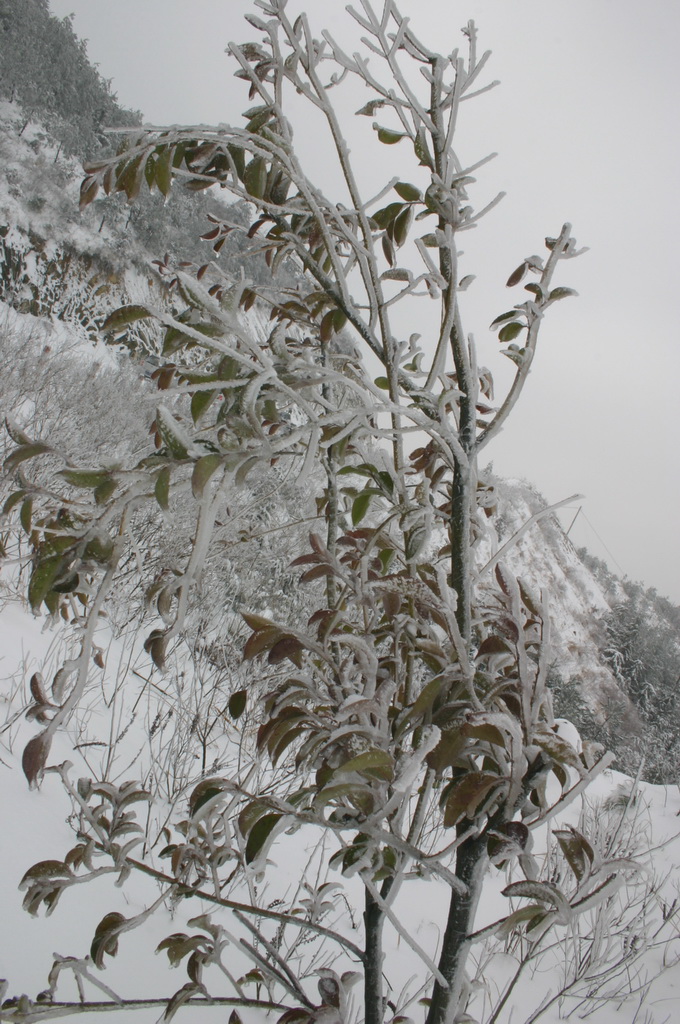 29日天北线之冰雪世界