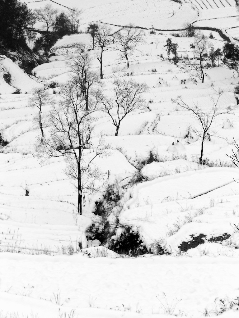 [原创]再上北山雪景7张.