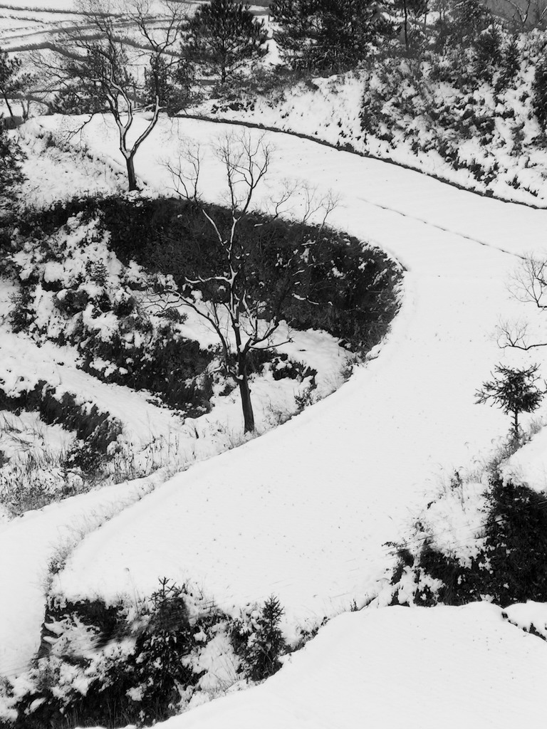 [原创]再上北山雪景7张.