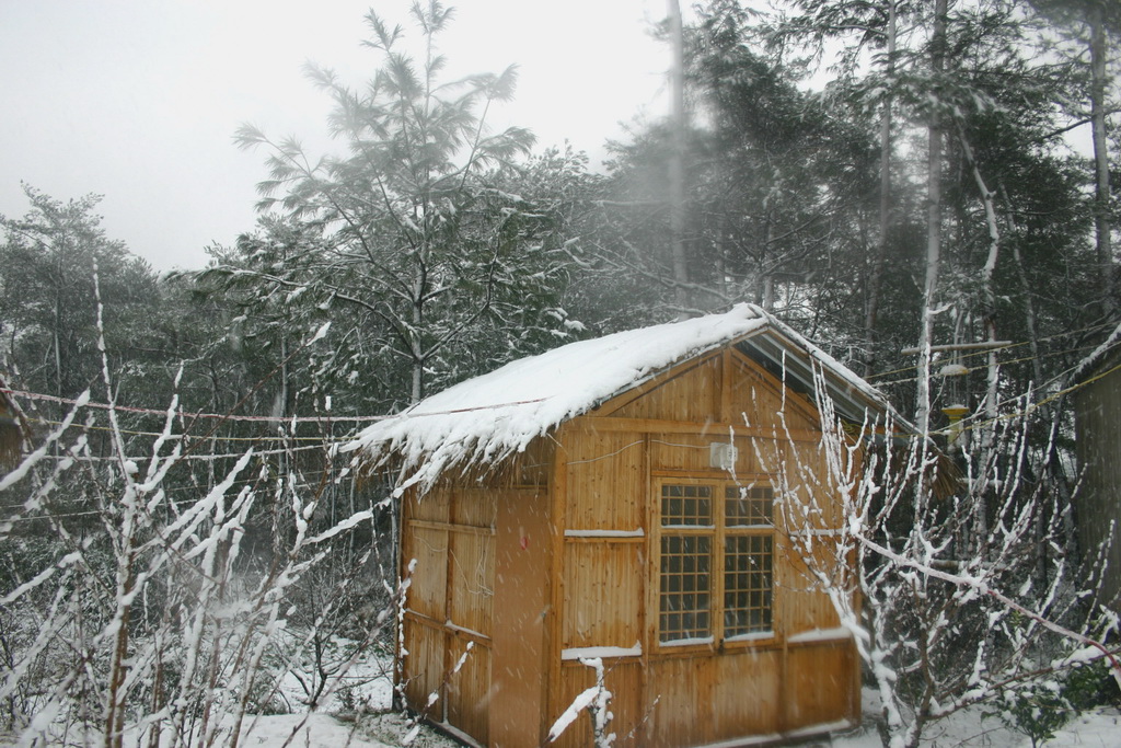 29日天北线冰雪世界