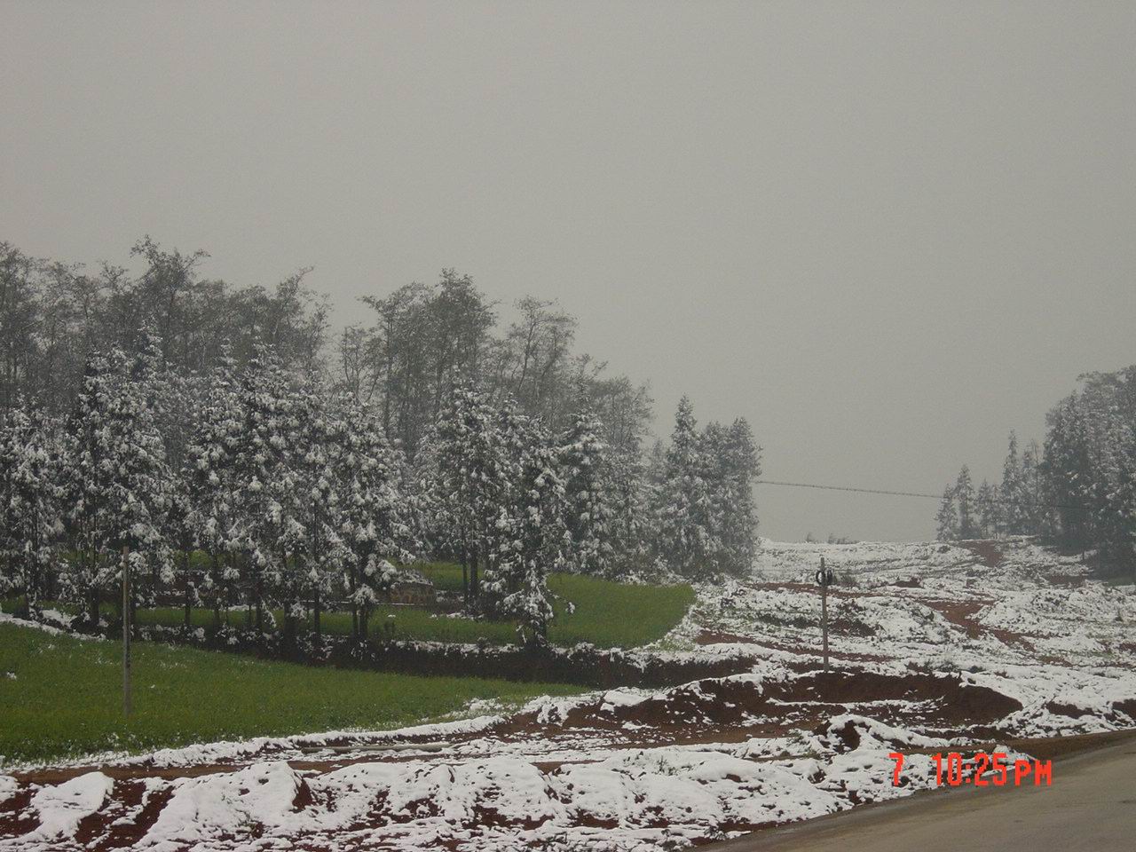 随意拍的雪景