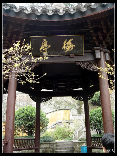 国清归来不看寺