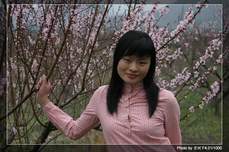 桃花梨花及美眉