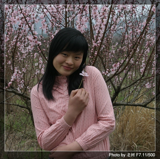 桃花梨花及美眉