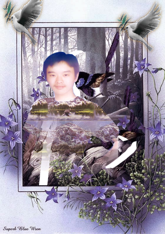 练习帖＜修图＞请各位高手指点